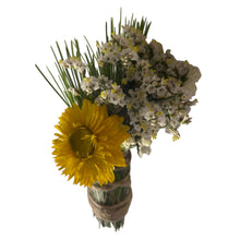 Charger l'image dans la galerie, Bâton sauge & Pin & statice