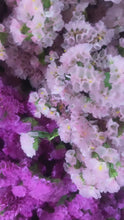 Load and play video in Gallery viewer, Le Baton de Mary 🌸🧿🪬🍀
